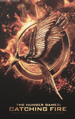 Catching Fire motion poster