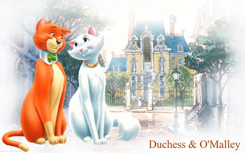 Duchess and O'Malley