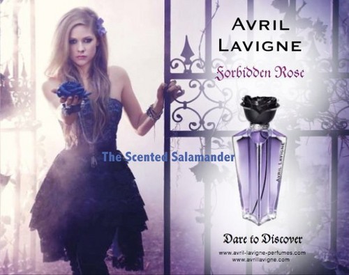  Forbidden Rose oleh Avril Lavigne