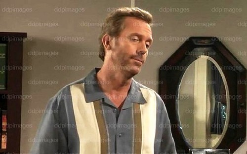  Hugh Laurie appeared as Charlie Sheen's Two and a Half Men character in a dream sequence in House