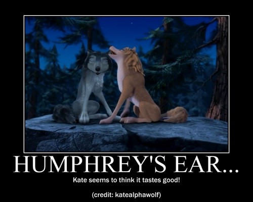  Humphrey's ear
