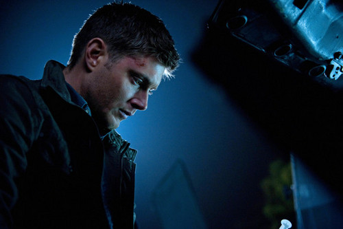  Jensen Supernatural season 8