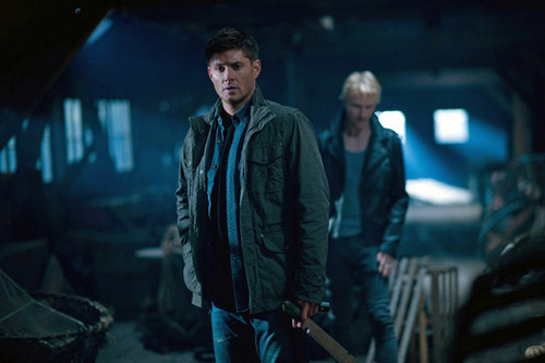  Jensen sobrenatural season 8
