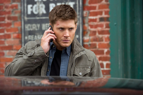  Jensen Supernatural season 8