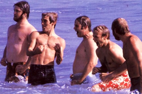 Les Beach Boys