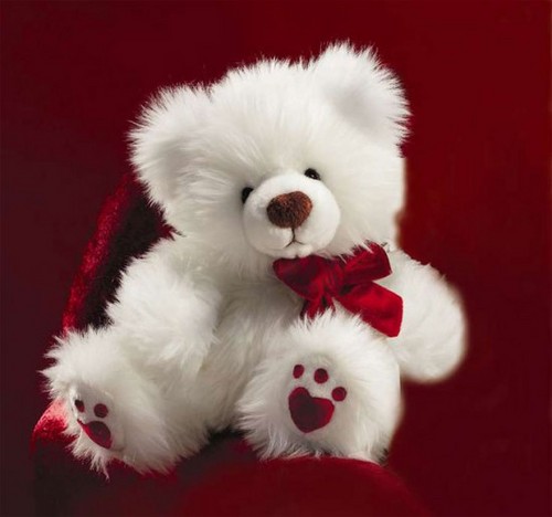  toi r awesome like the Teddy ours <3