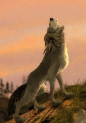  a 狼, オオカミ