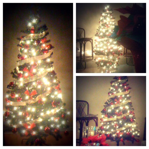  ★ Christmas trees ☆
