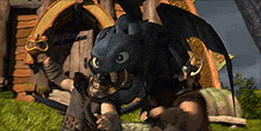  ★ Toothless ☆