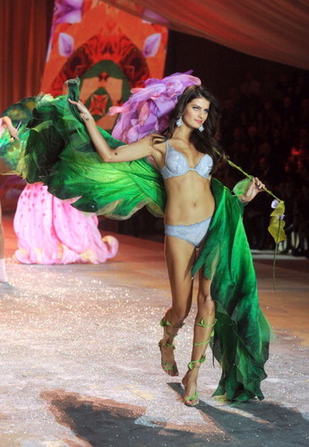  2012 VSFS Segment 6: anges in Bloom