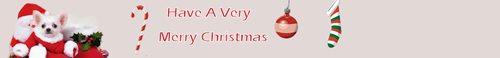 All Small Dogs Christmas Banner x