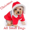 All Small Dogs Christmas Icon x