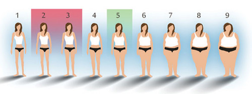  Body type scale, which one is yours?