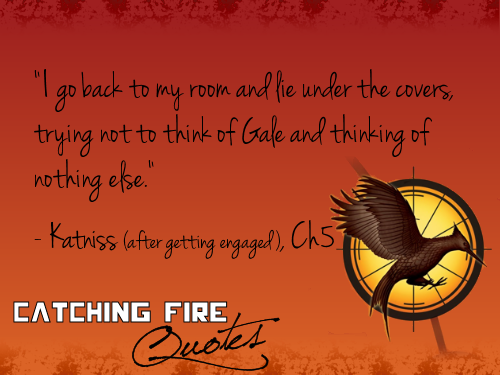  Catching fuego frases 41-60