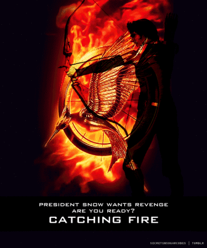 Catching Fire ~