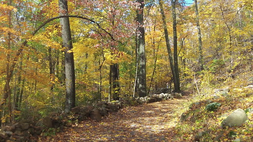 Fall Foliage in Connecticut