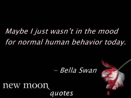  New moon frases 61-80