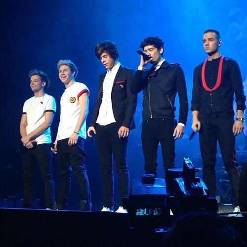  One Direction at MSG