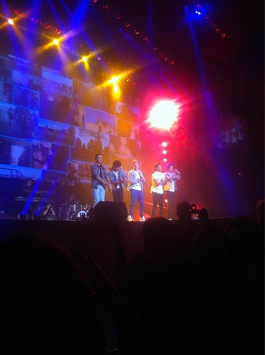  One Direction at Madison Square Garden