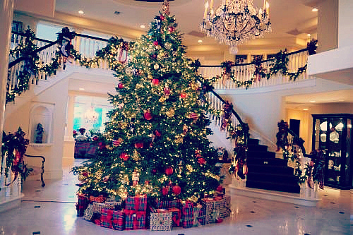  ★ Krismas trees ☆