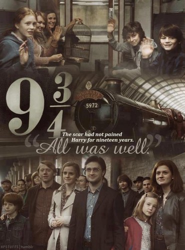  ~Harry Potter Forever~
