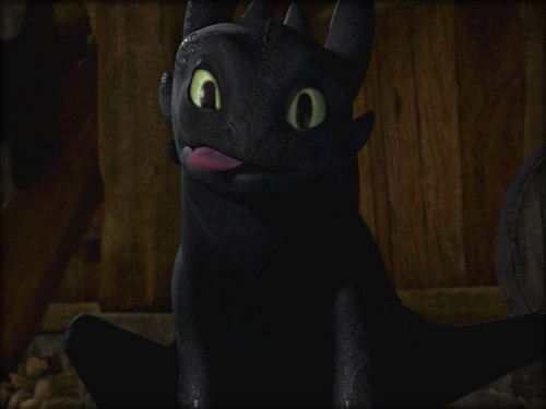  ★How To Train Your Dragon☆