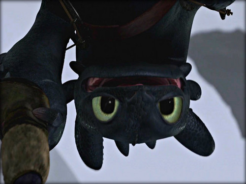  ★ Toothless ☆