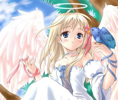 Anime Angel 