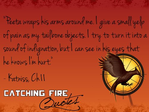 Catching Fire quotes 81-100