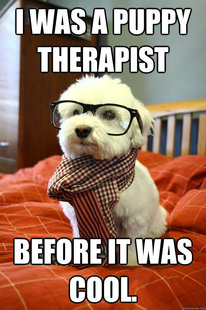  Hipster anjing, anak anjing