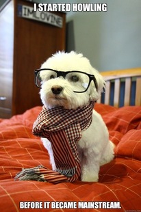  Hipster anjing, anak anjing