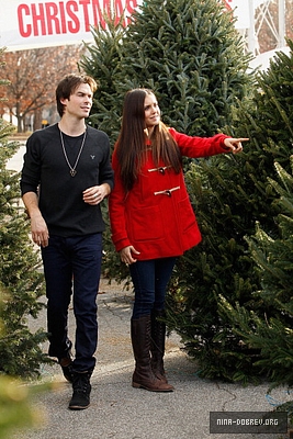  Ian and Nina Shopping for Krismas trees