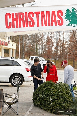  Ian and Nina Shopping for Weihnachten trees