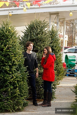  Ian and Nina Shopping for giáng sinh trees