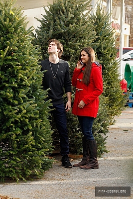 Ian and Nina Shopping for giáng sinh trees