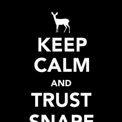  Keep Calm and Trust Snape