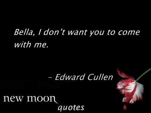 New moon quotes 81-100