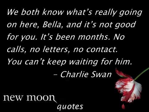  New moon quotes 81-100