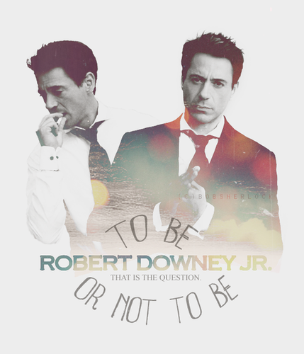  Robert Downey JR