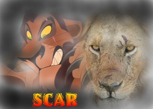  Scar