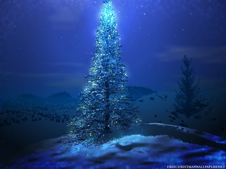 Snowy Blue Christmas - Christmas Photo (33069740) - Fanpop