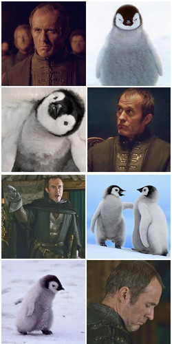  Stannis and baby pinguïn - A match made in R’hllor’s heaven