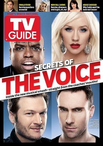  The voice judges