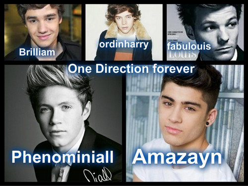  1d on pizap that i made