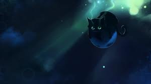  Black Kitty #5