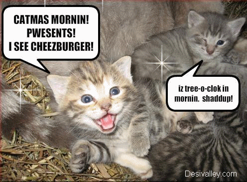  क्रिस्मस Kittens!