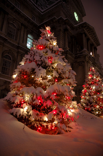  Christmas lights