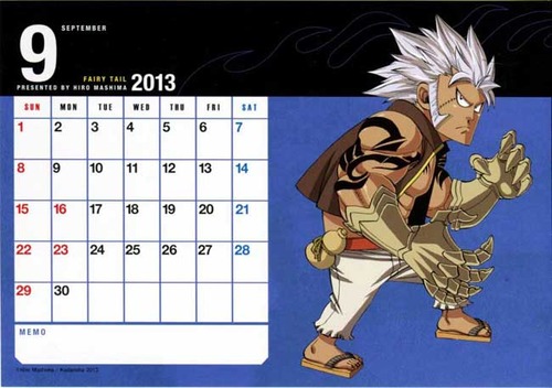  FT calendar 2013