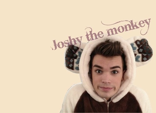  Joshy The Monkey U Belong Wiv Me "Perfect In Every Way" :) 100% Real ♥