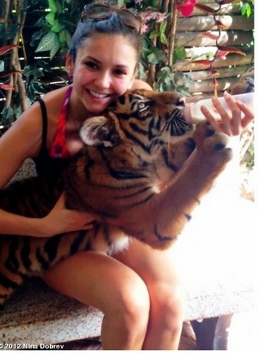 Nina and a tiger <33